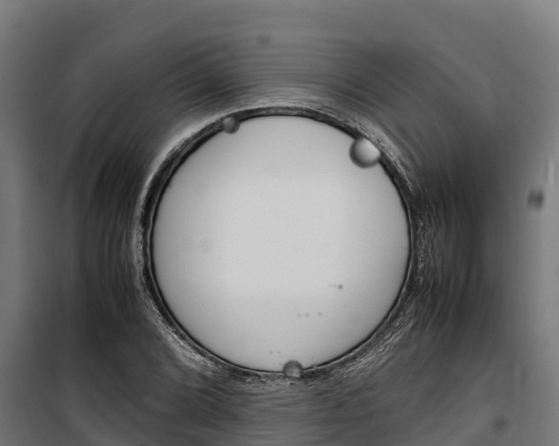 X0000100851072200806200756