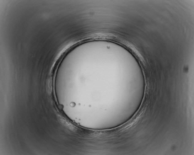 X0000100851075200806200756