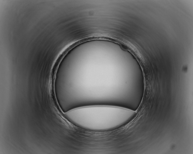 X0000100851076200806200756