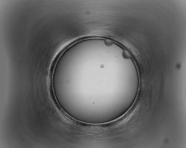 X0000100851077200806200756