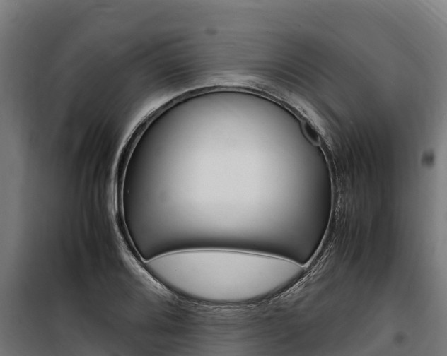X0000100851080200806200756