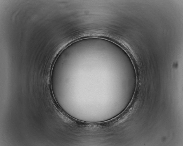 X0000100851081200806200756