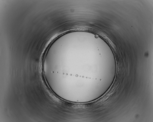 X0000100851083200806200756