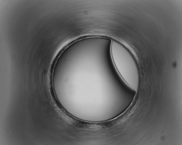 X0000100851085200806200756