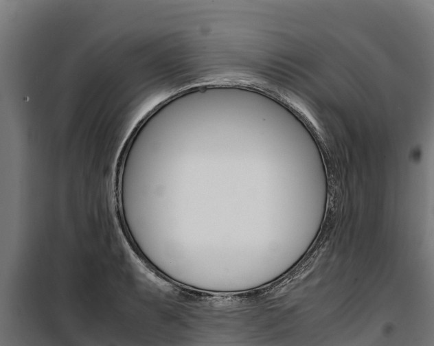 X0000100851087200806200756