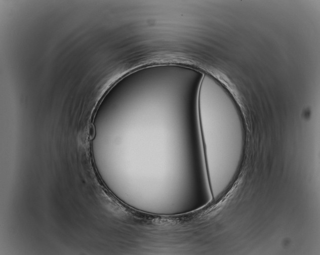 X0000100851089200806200756
