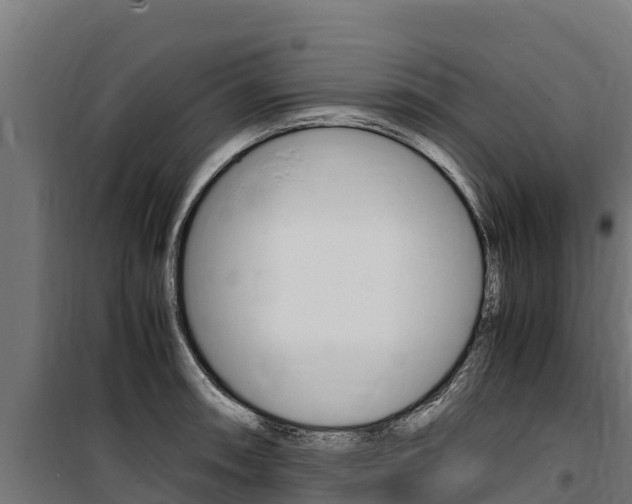 X0000100851090200806200756