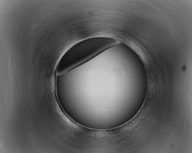 X0000100851092200806200756