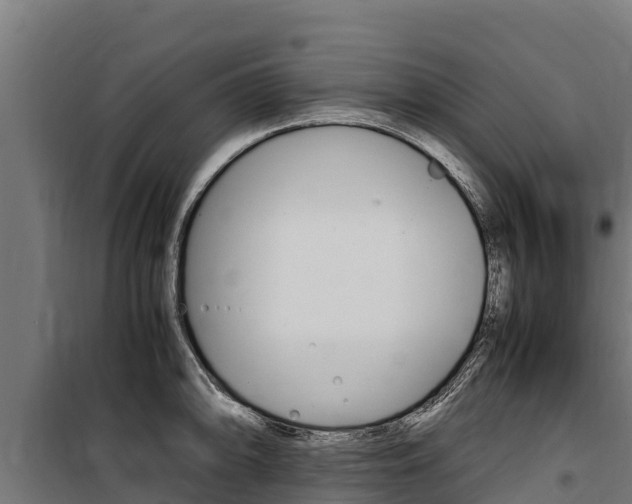 X0000100851094200806200756