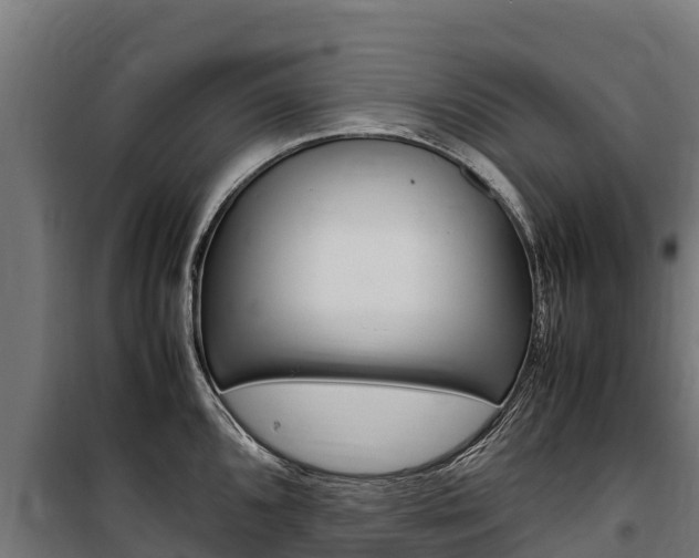 X0000100851096200806200756