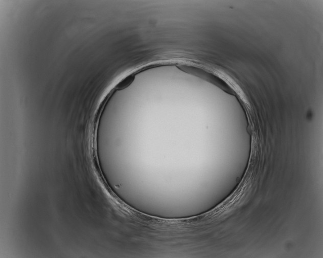 X0000100851101200806200756