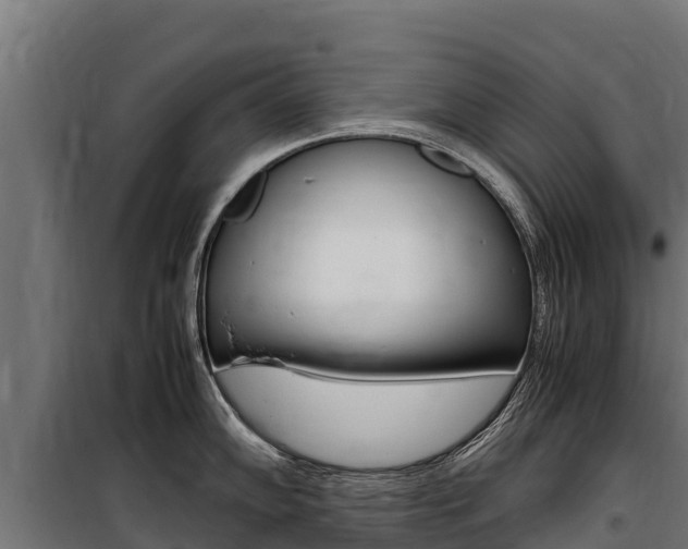 X0000100851102200806200756