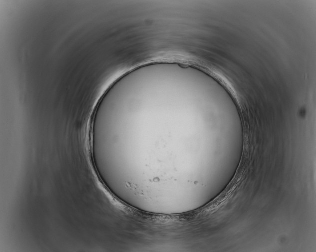 X0000100851103200806200756
