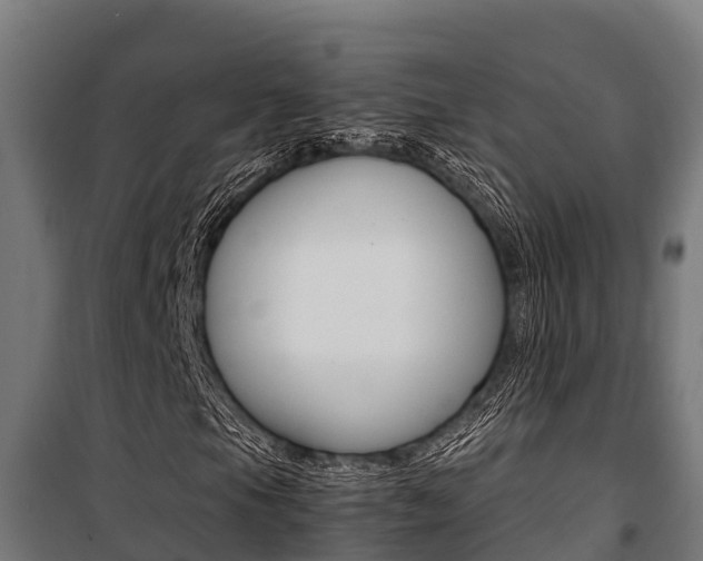 X0000100851105200806200755