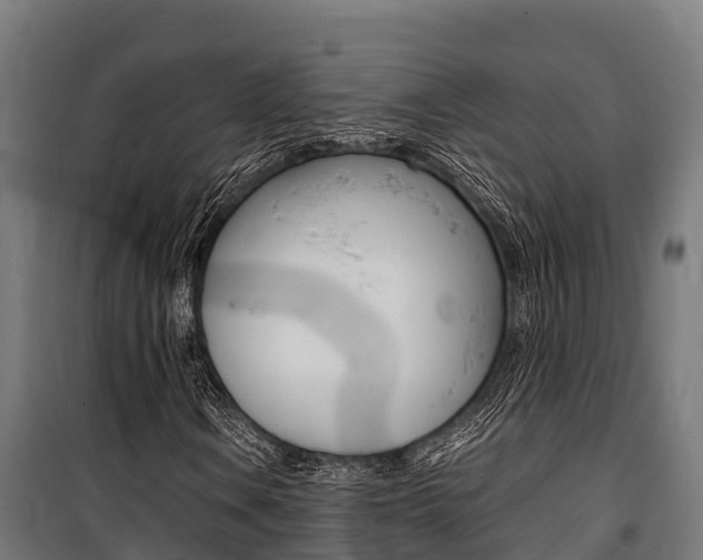X0000100851106200806200755