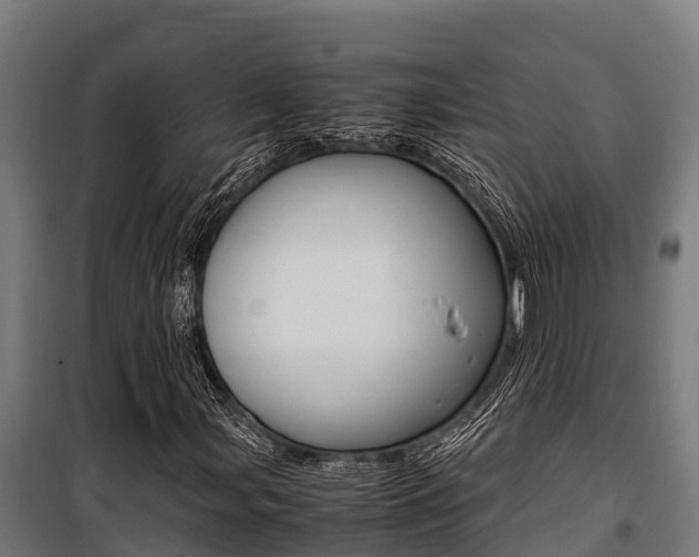 X0000100851107200806200755