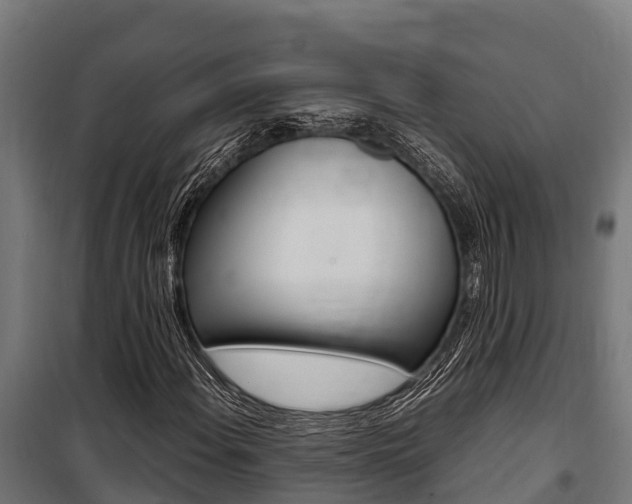 X0000100851108200806200755