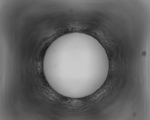X0000100851109200806200755