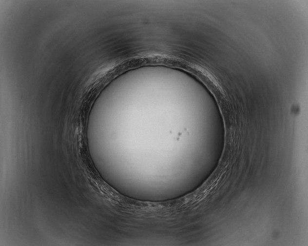 X0000100851111200806200755