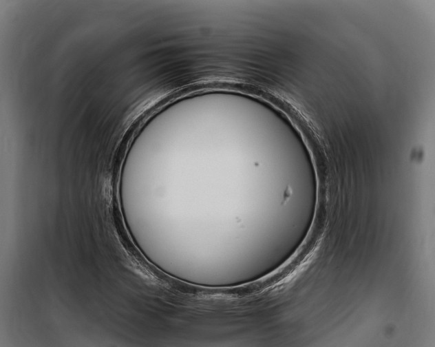X0000100851113200806200755