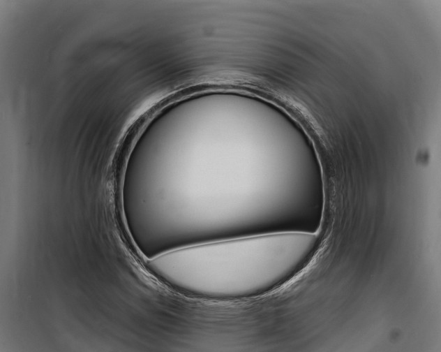 X0000100851114200806200755