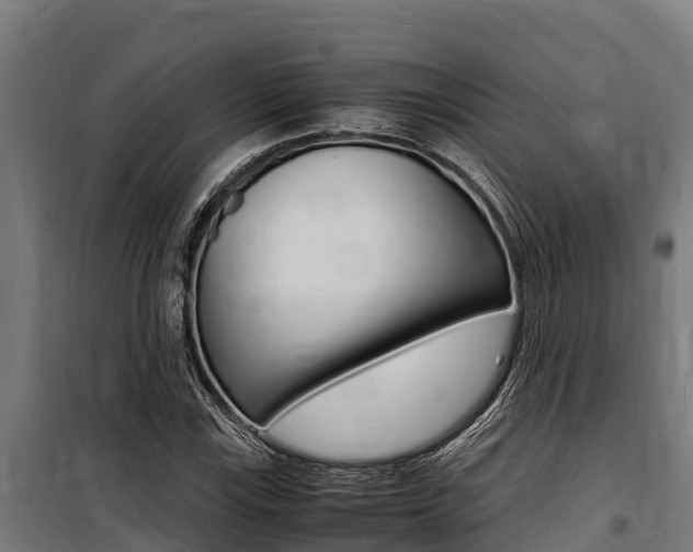 X0000100851115200806200755