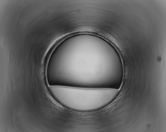X0000100851116200806200755