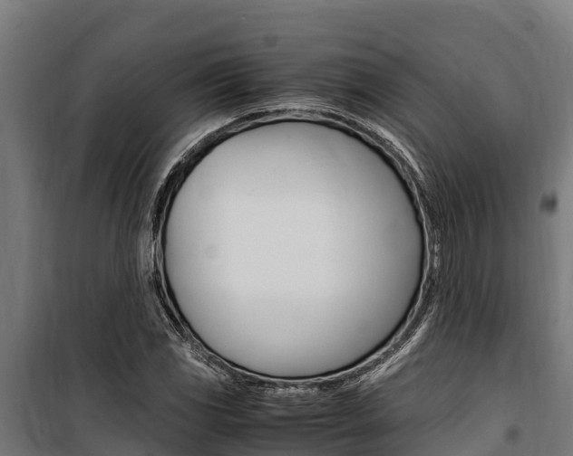 X0000100851117200806200755