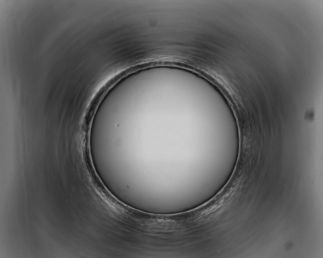 X0000100851119200806200755