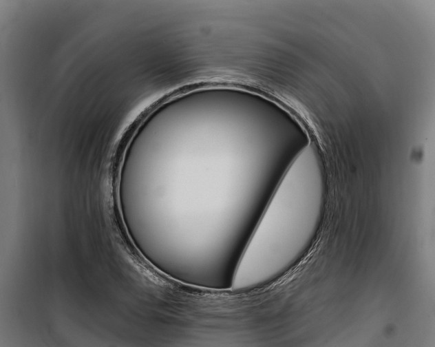 X0000100851120200806200755
