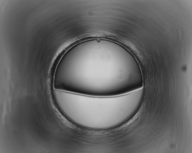 X0000100851122200806200755