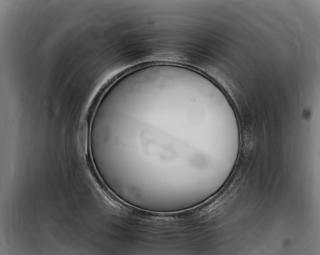X0000100851123200806200755