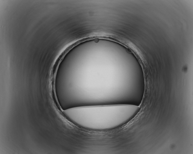 X0000100851124200806200755