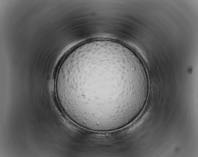 X0000100851125200806200755