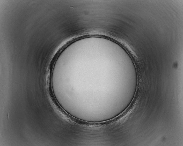 X0000100851126200806200756