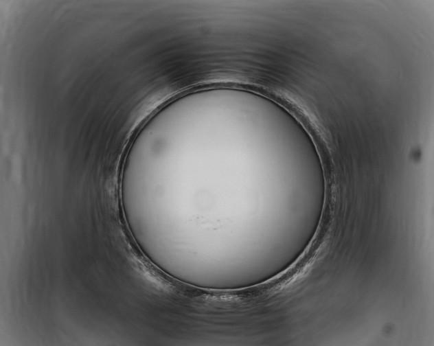 X0000100851129200806200756