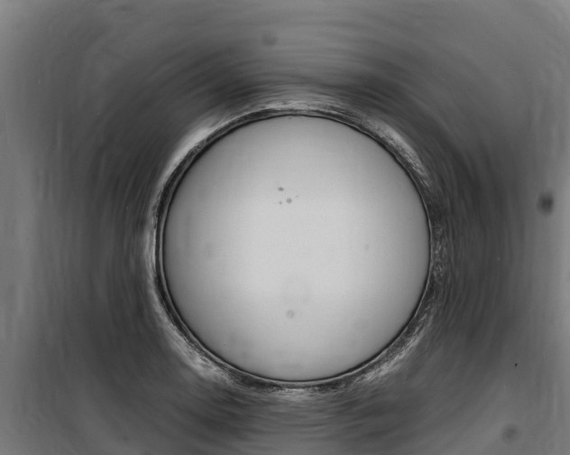 X0000100851130200806200756