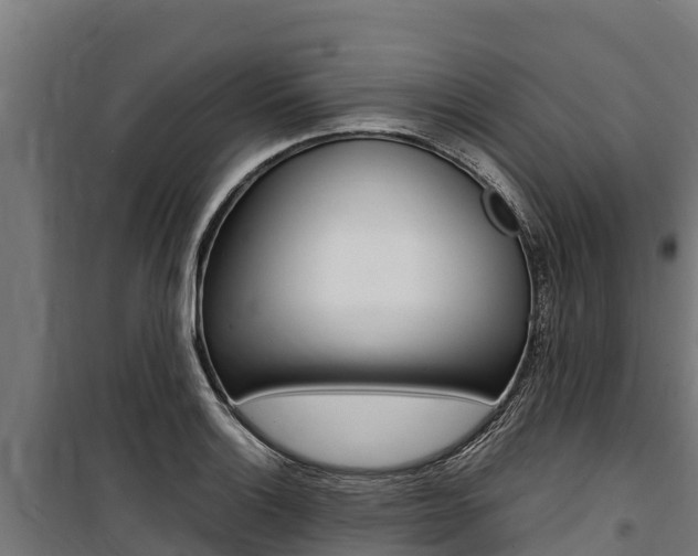 X0000100851132200806200756