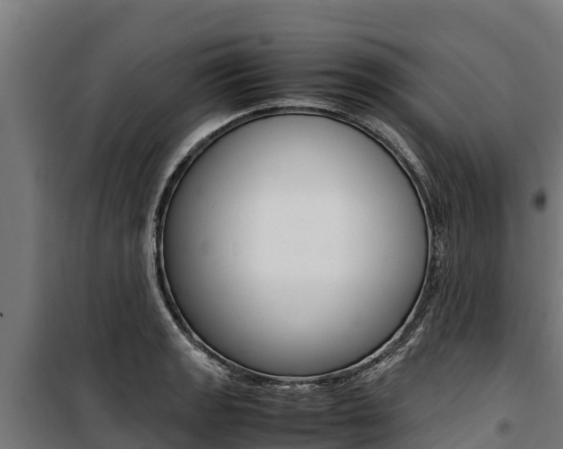 X0000100851133200806200756