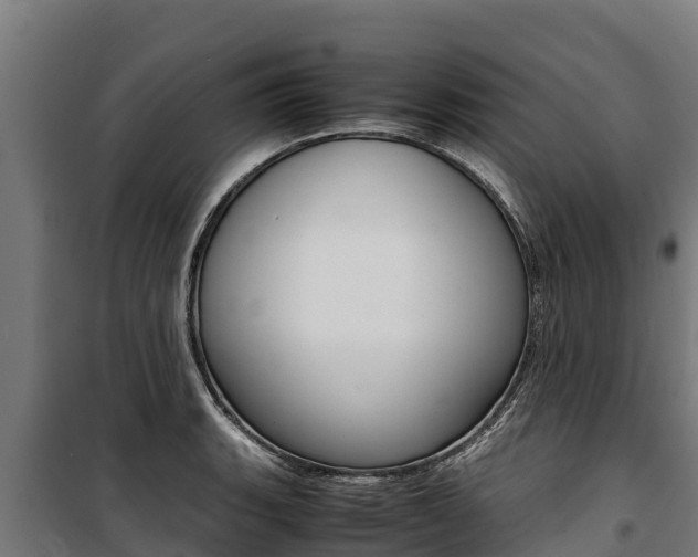 X0000100851135200806200756