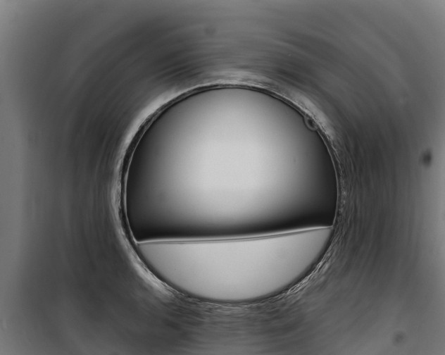 X0000100851136200806200756
