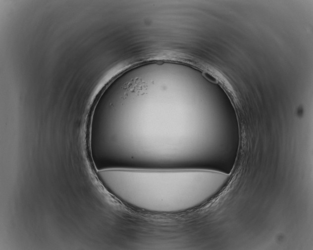 X0000100851138200806200756