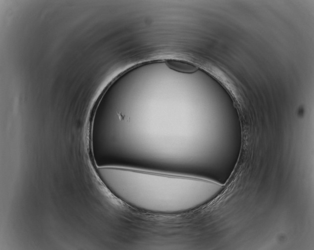 X0000100851140200806200756