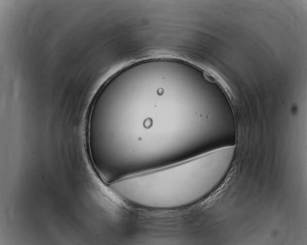 X0000100851142200806200756