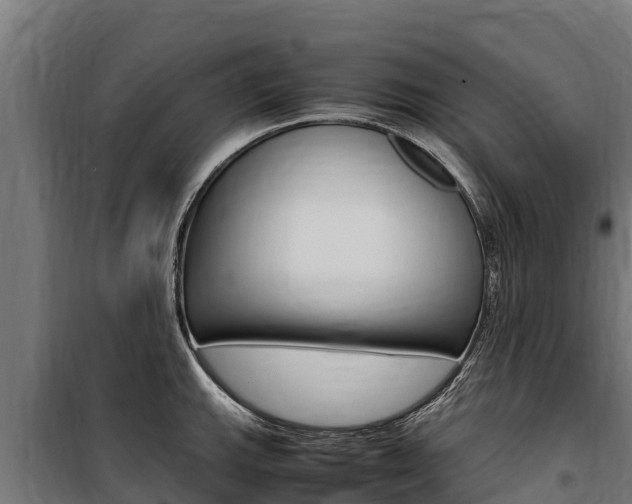 X0000100851143200806200756