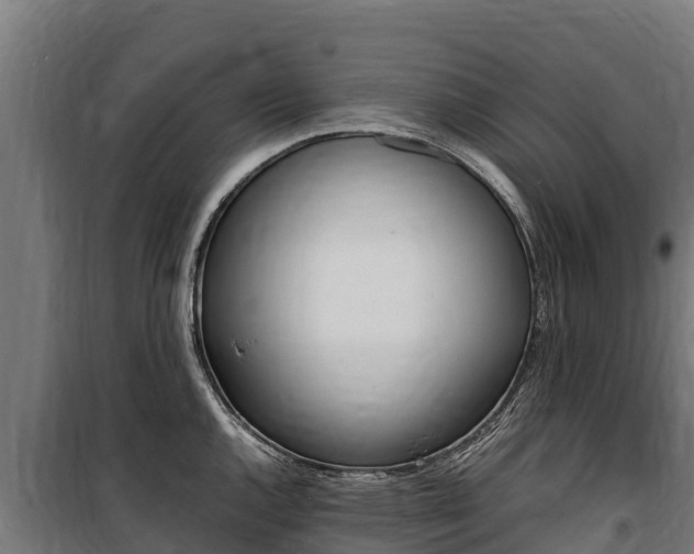X0000100851144200806200756
