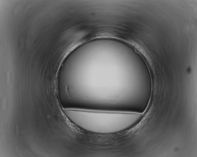 X0000100851145200806200756