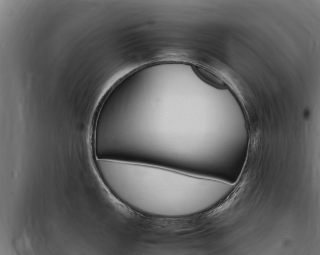 X0000100851149200806200756