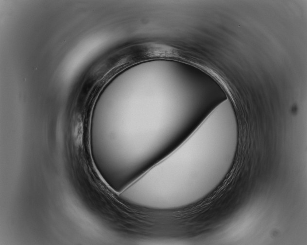 X0000100851151200806200756