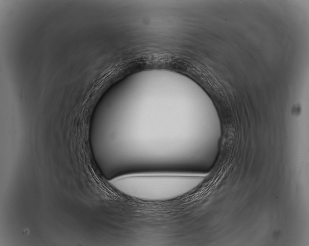 X0000100851153200806200755